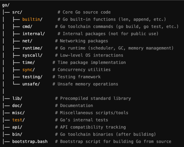 Go code structure